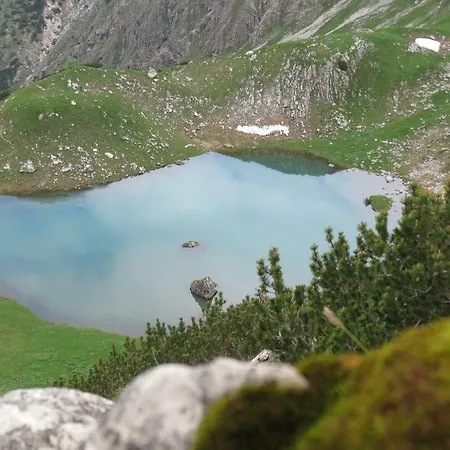 Alpentraum - Alpengrün Oberstdorf