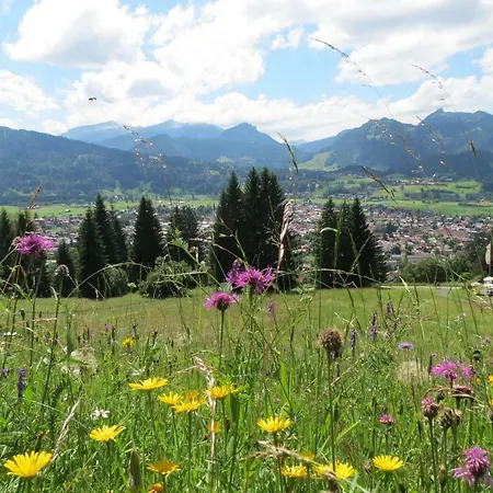 Alpentraum - Alpengrün *